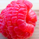 Illustration for article titled Last Call: Bake this easy raspberry-buttermilk cake